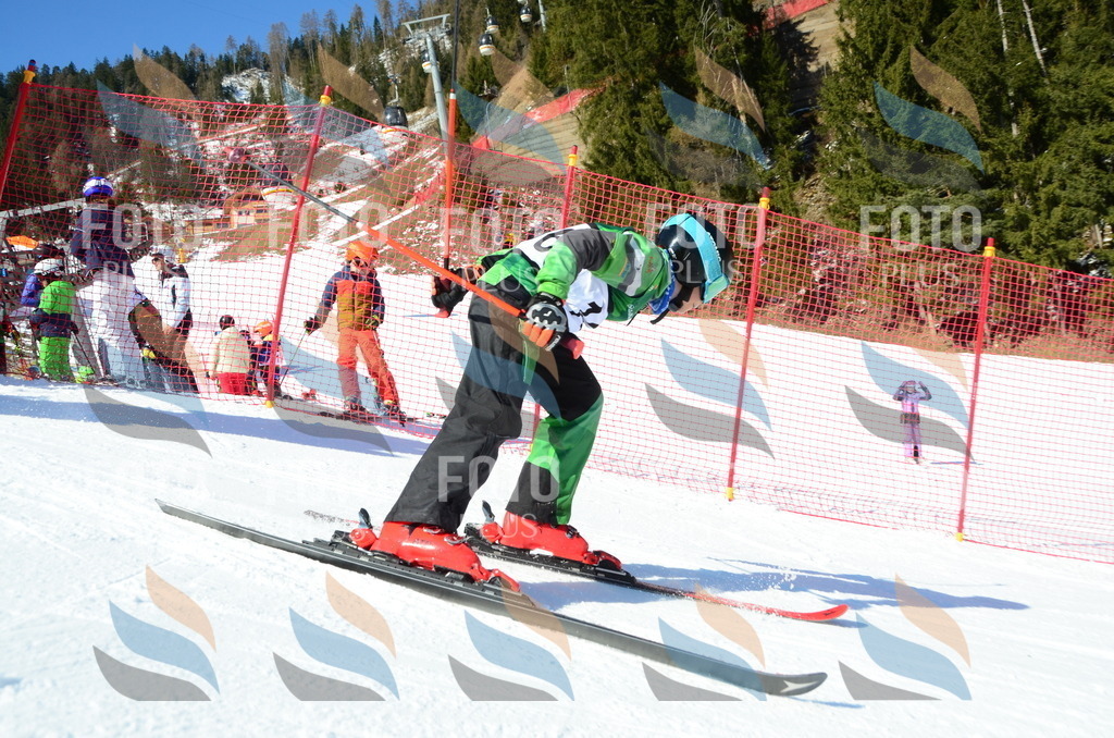 C5795 | holidayphoto