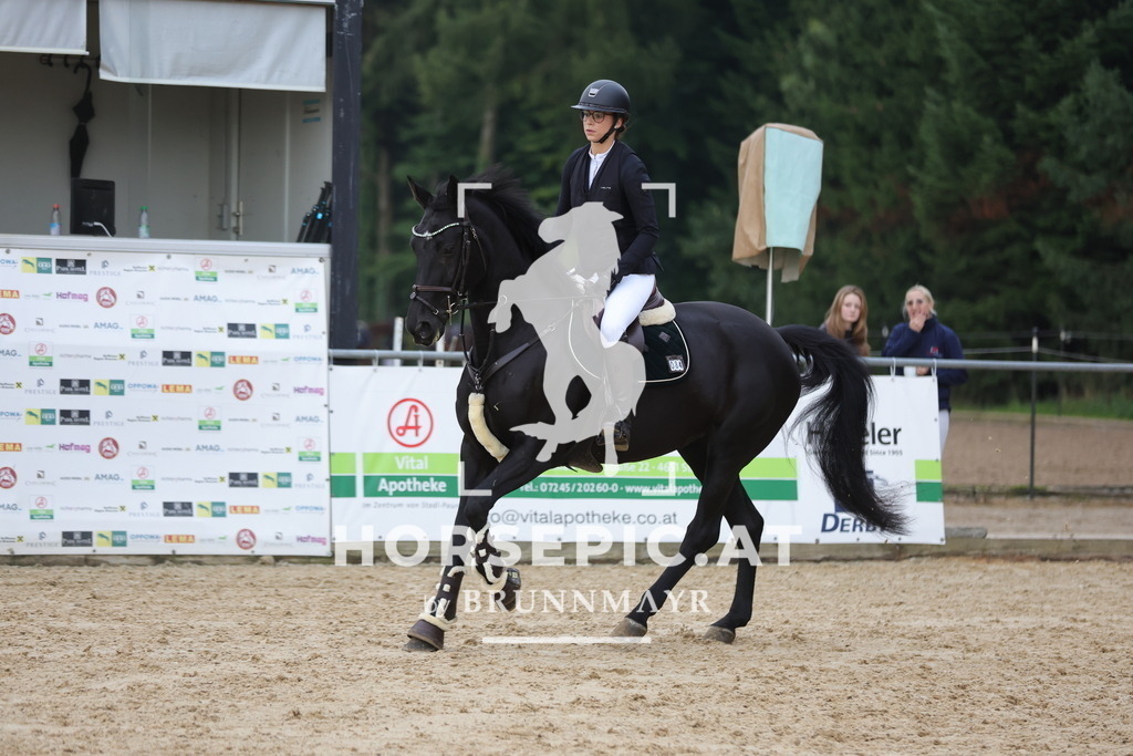 0P6A5099 | Willkommen bei Brunnmayr - Design & Fotografie – Ihrem Spezialisten für Reitturniere und Pferdeveranstaltungen in Oberösterreich, Salzburg und Bayern! Seit über 17 Jahren sind wir leidenschaftlich dabei.