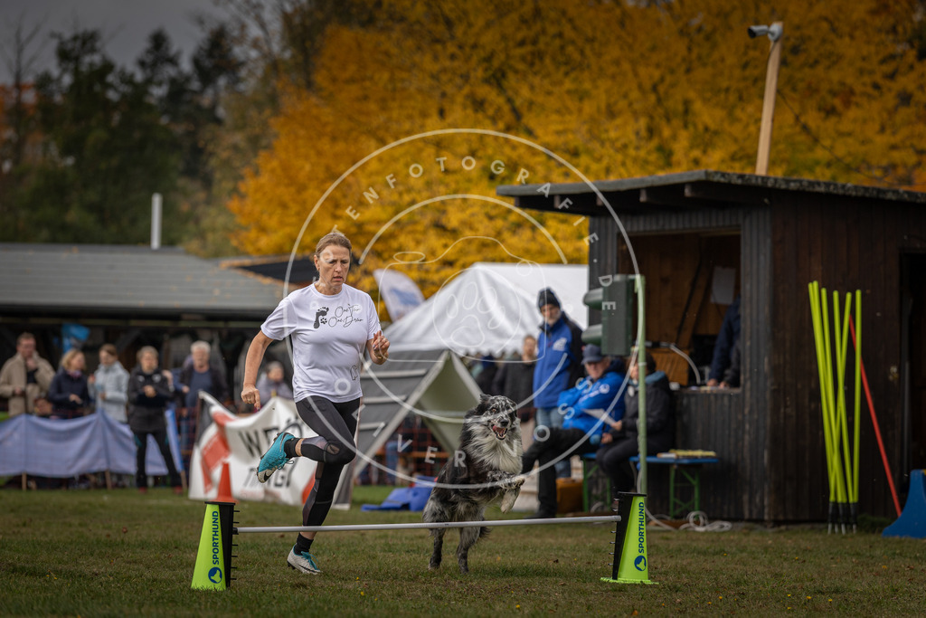 Pfotenfotografie_DV3A5632 | Hundefotografie, Tierfotograf, Pfotenfotografie, Fotoshooting Hund, Hunde Portrait, Hundesport, Hundeportraits, Heideshooting, Hunde, Sportfotograf, Hundefotograf, Turnierhundsport, THS,  - Realisiert mit Pictrs.com