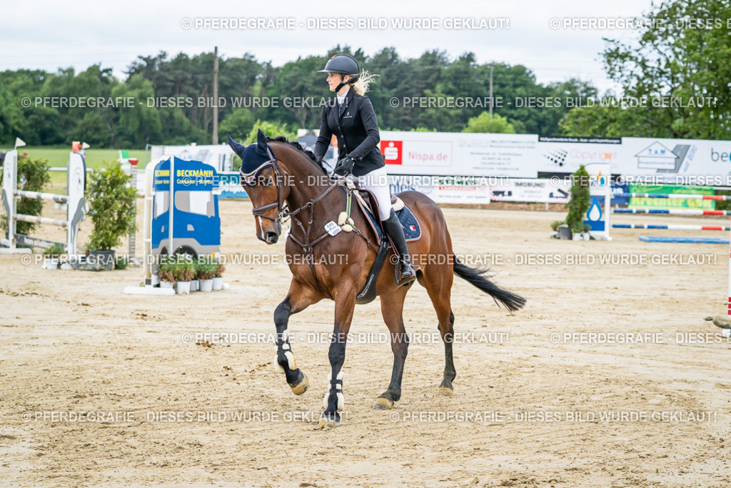 DSC04601 | Pferdegrafie