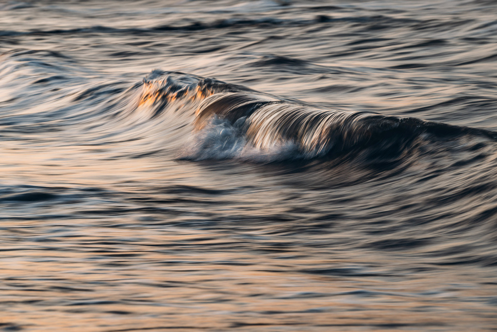 LDF_5808 | Du suchst natürliche und atmosphärische Prints oder Leinwanddrucke? In diesem Shop gibt es alles, nur kein Mainstream. - Realisiert mit Pictrs.com