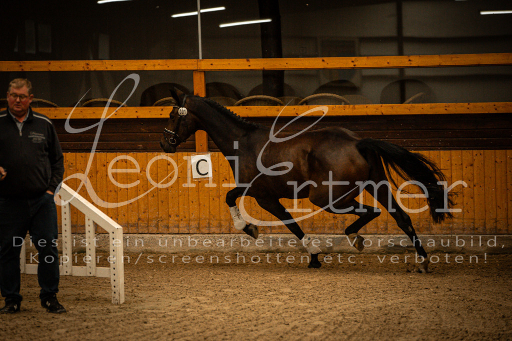 1FS_L00007 | Leoni Ertmer Photography - Realisiert mit Pictrs.com