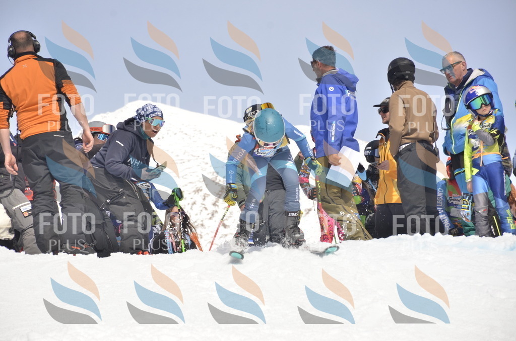 _ELE8818 | holidayphoto