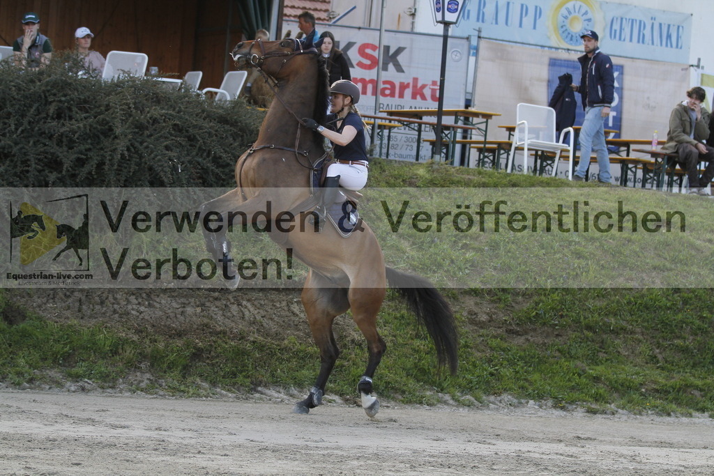 _MG_8337 | equestrian-live-com