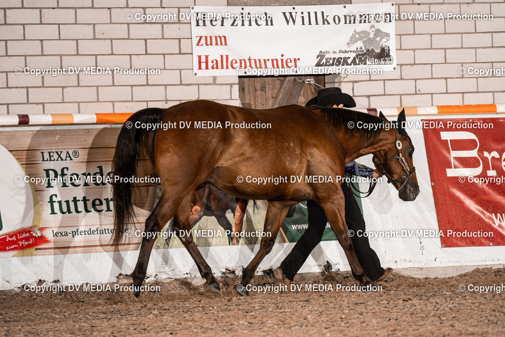 ZH200048 | dv-media-shop - Realisiert mit Pictrs.com