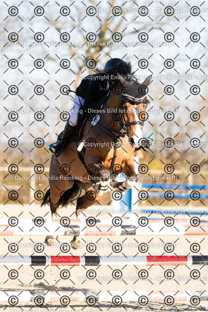 CL5A3414 | Emilia Reinking Fotografie - Realisiert mit Pictrs.com