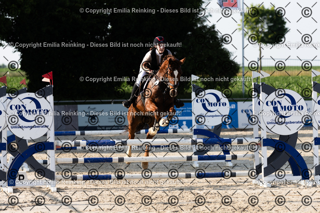 CL5A1411 | Emilia Reinking Fotografie - Realisiert mit Pictrs.com