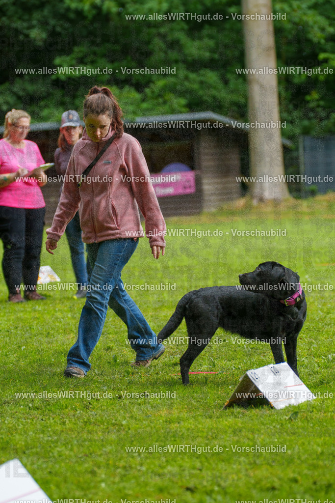 @allesWIRTHgut_Tierfotografie - www.allesWIRTHgut.de - 7R503205 | Professionelle Tierfotografie in Mönchengladbach von Daniel Wirth (allesWIRTHgut). Liebevolle & natürliche Bilder von Hunden & Katzen für unvergessliche Erinnerungen.