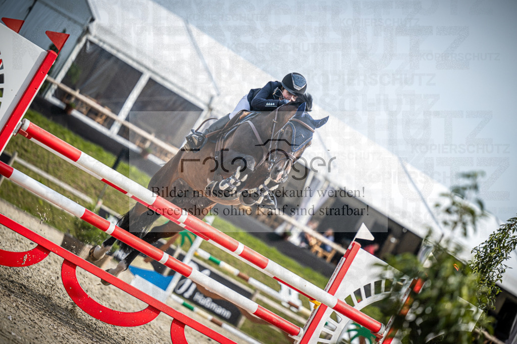 DOS_2253 | Entdecke hochwertige Reitturnierfotos von Foto Oger. Professionell, emotional und authentisch – jetzt Lieblingsmomente im Shop bestellen.Deutschlandweite Turnierfotografie. - Realisiert mit Pictrs.com
