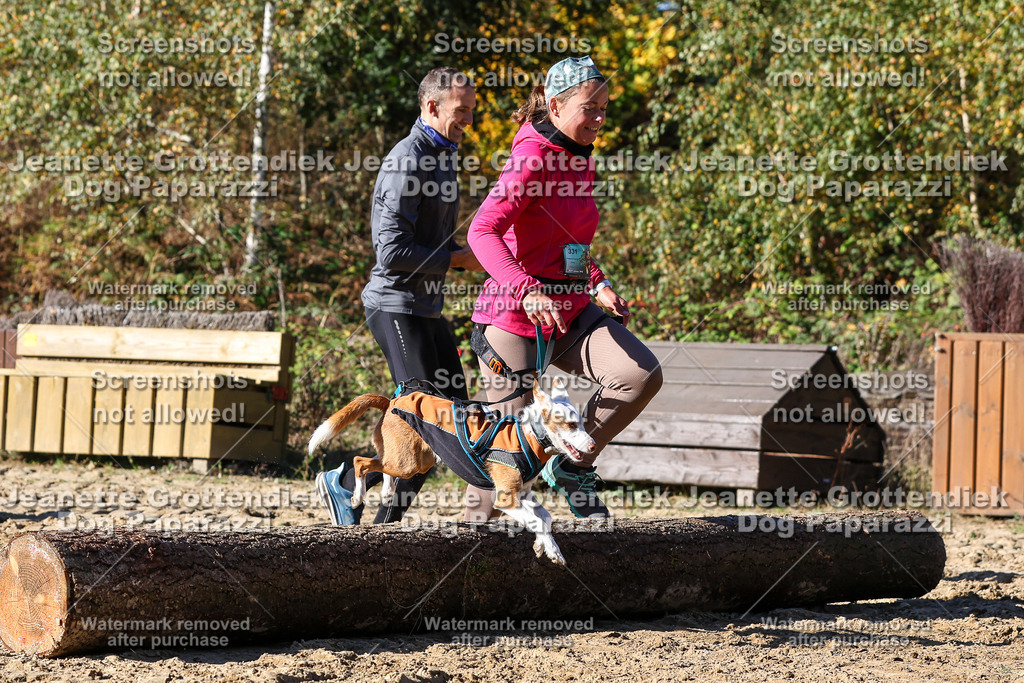 Dog Paparazzi - Strongdog 10-25-2733 | Dog Paparazzi Jeanette Grottendiek Fotografie & Videografie - Realisiert mit Pictrs.com