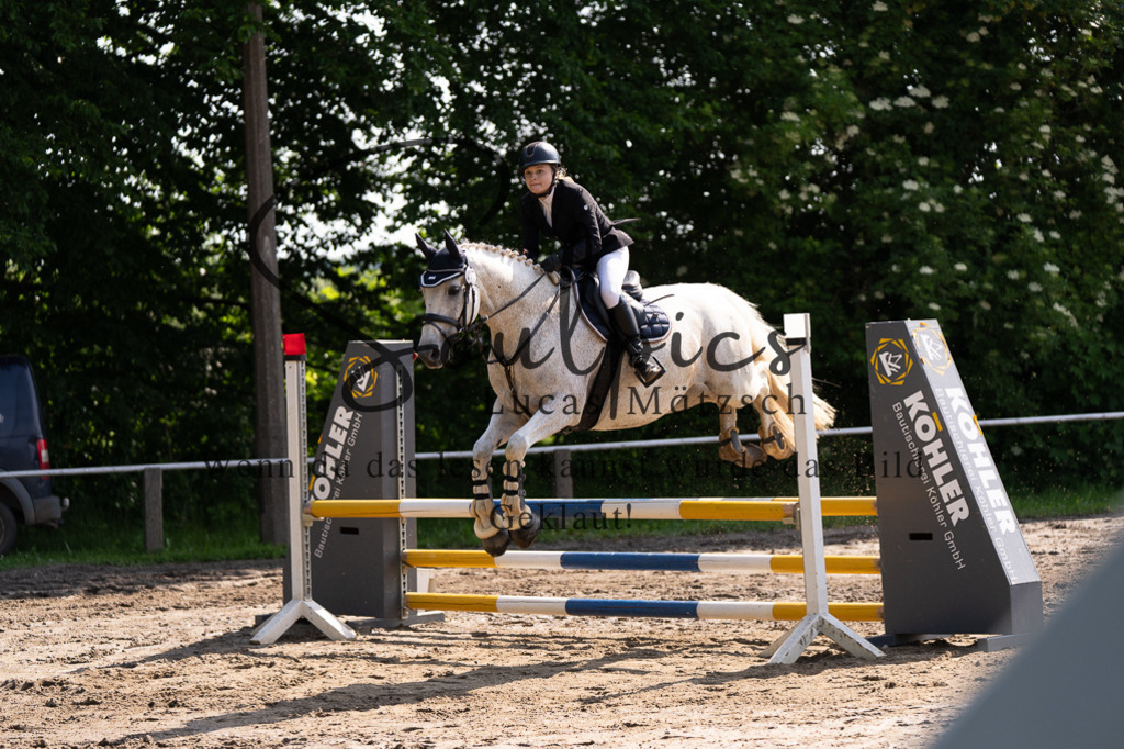 A7507293 | Turnier/Reitfotograf
