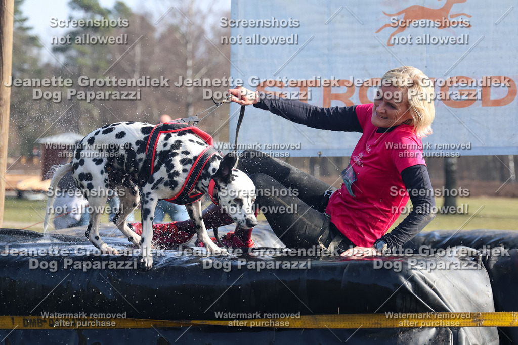 Dog Paparazzi - Strongdog North Mrz26-1462 | Dog Paparazzi Jeanette Grottendiek Fotografie & Videografie - Realisiert mit Pictrs.com