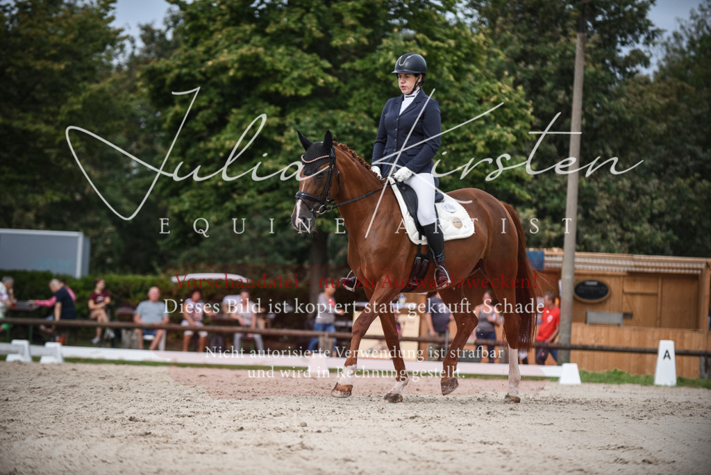 DSC_8360 | Pferde- und Turnierfotografie in Westsachsen. Pferdeportraits, Auftragszeichnungen und intuitive Kunst.