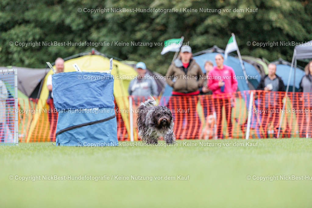 BSP Hoopers-H1 Tag2-2026-Nickbest-Hundefotografie-TuS Komet Arsten e.V.-1138 | Dein Hund! Dein Moment! Deine Erinnerungen! Hundefotografie in Bremen Blumenthal. Ich fange die besonderen Momente deines Vierbeiners ein – ob Indoor mit Blitzanlage oder in der freien Natur. Sicher dir dein Moment und dein Termin für eure Erinnerungen.