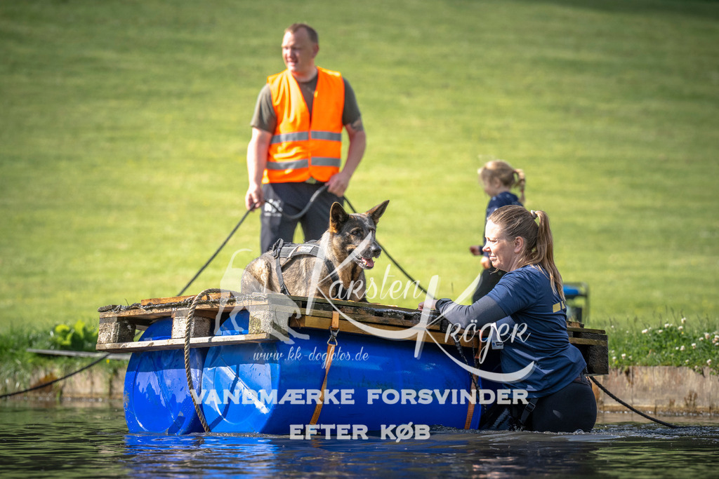 0837_ZZ99730 | kk-dogfotos