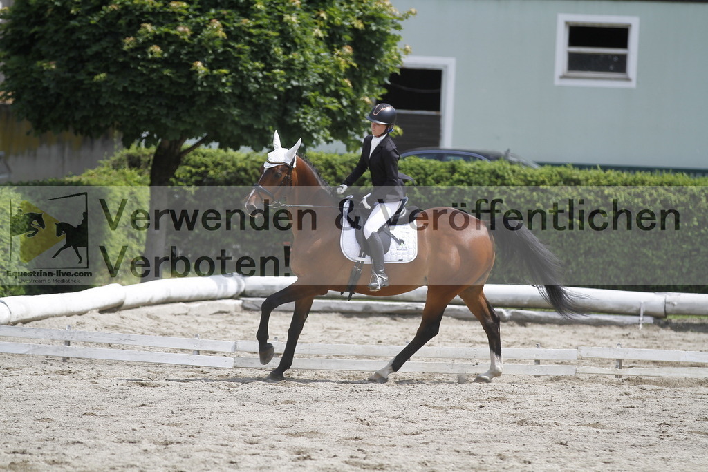 _MG_8622 | equestrian-live-com
