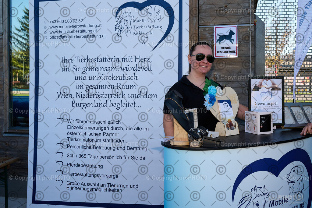 011_202509_4Hundebadetag_NZ9_2080 | proPHOTO - Realisiert mit Pictrs.com