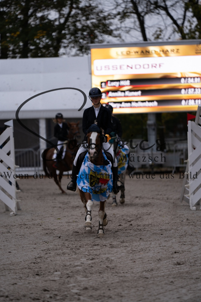 A7V00347 | Pferdefotograf