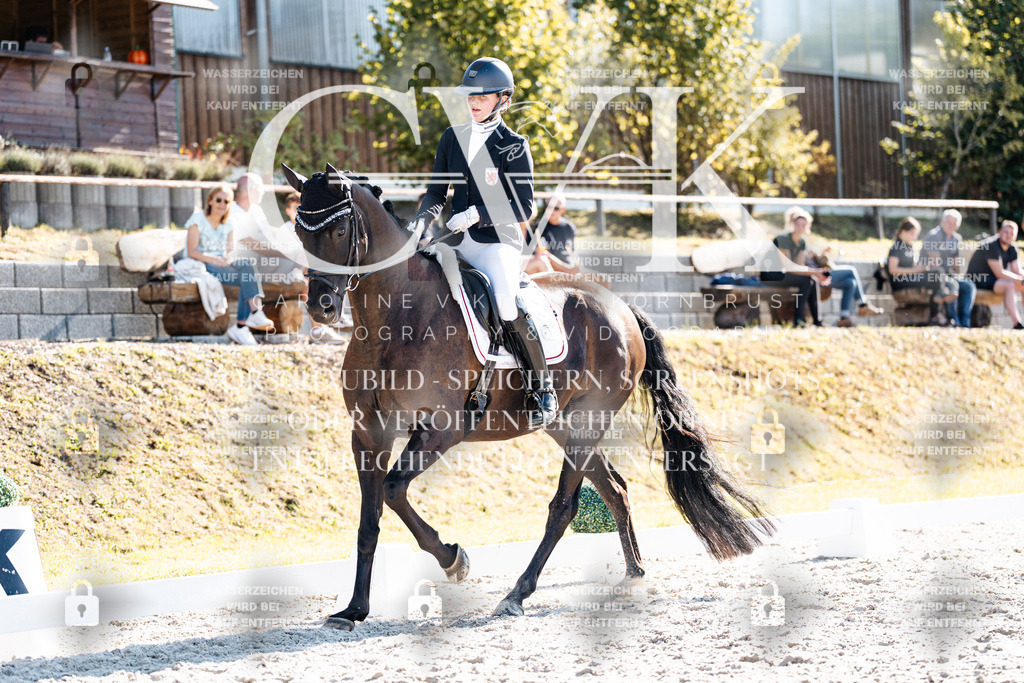 CK905627 | Turnierfotografie Pferdefotografie Trier Rheinland-Pfalz Pferdesport Reitsport Tierfotografie Sportfotografie Pferdevideo Pferdevideografie Equestrianvideography equestrianphotography  - Realisiert mit Pictrs.com