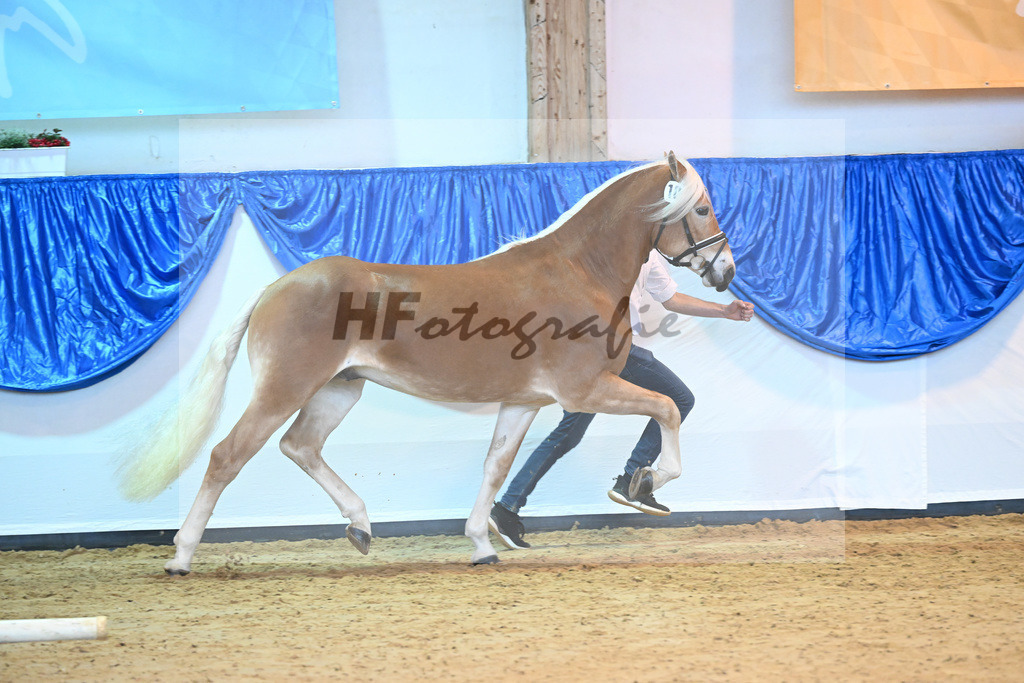 Kat-Nr. 10 nn v. Bugatti_Obermeyer_60220683 | hf-fotografie - Realisiert mit Pictrs.com