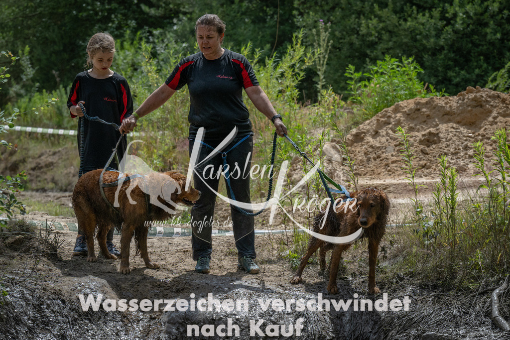 1402_ZZ90565 | kk-dogfotos