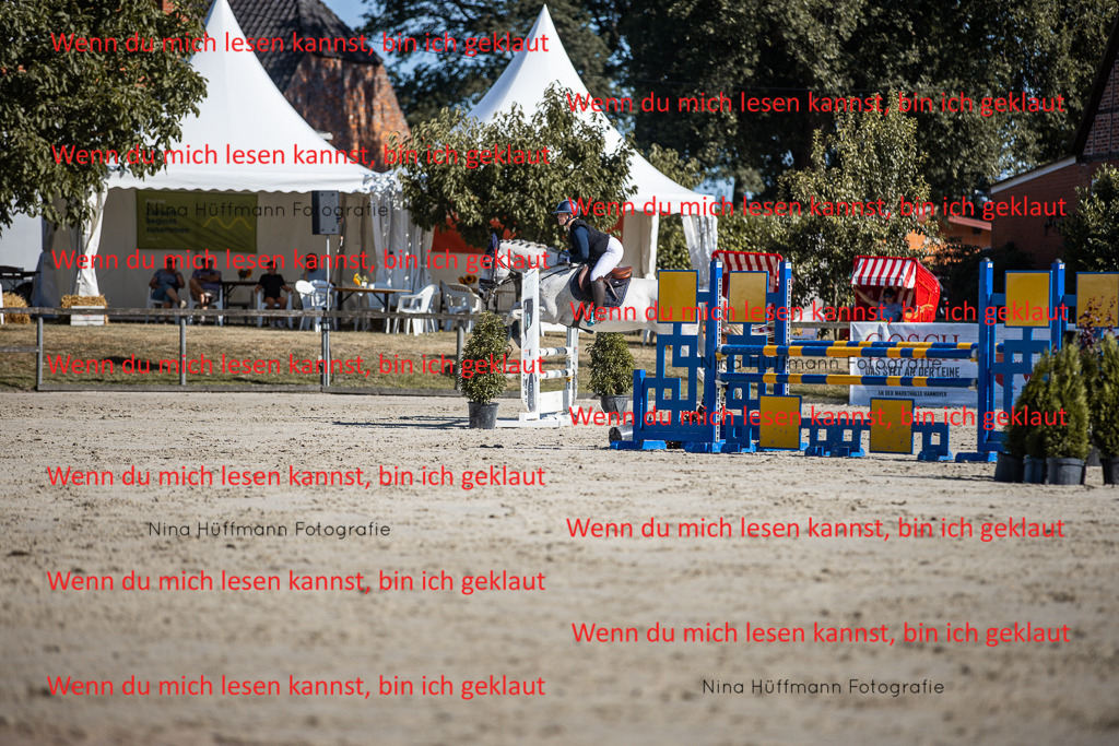 BK1A7209 | Turnierbilder Turnierfotos Nina Hüffmann Turnierfotografie Pferdefotografie Tierzeichnung Haustierzeichnung Pferdezeichnung Hundezeichnung Videograf  - Realisiert mit Pictrs.com