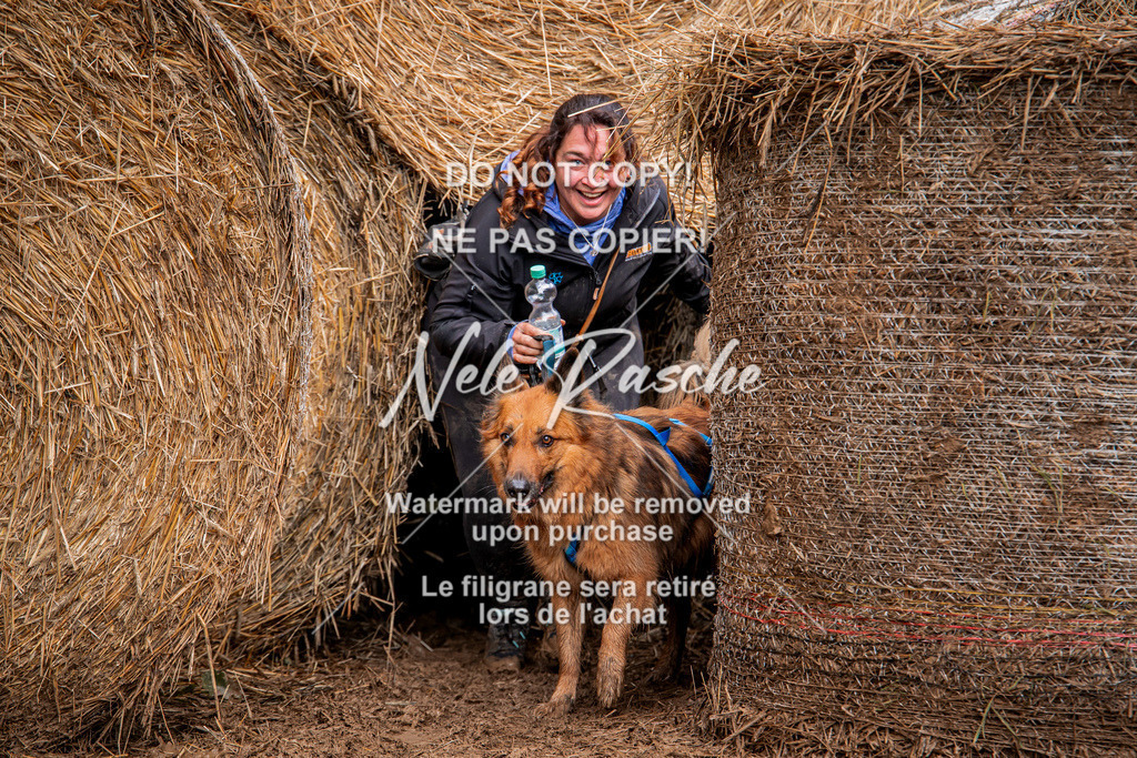 nelerasche_Hunsrück_So09-11_317 | nelerasche