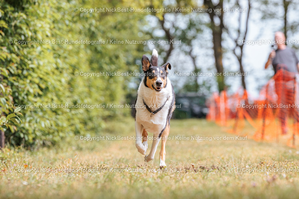 Sage Hunderennen Frühlingsfest-2026-Nickbest-Hundefotografie-0510 | Dein Hund! Dein Moment! Deine Erinnerungen! Hundefotografie in Bremen Blumenthal. Ich fange die besonderen Momente deines Vierbeiners ein – ob Indoor mit Blitzanlage oder in der freien Natur. Sicher dir dein Moment und dein Termin für eure Erinnerungen.