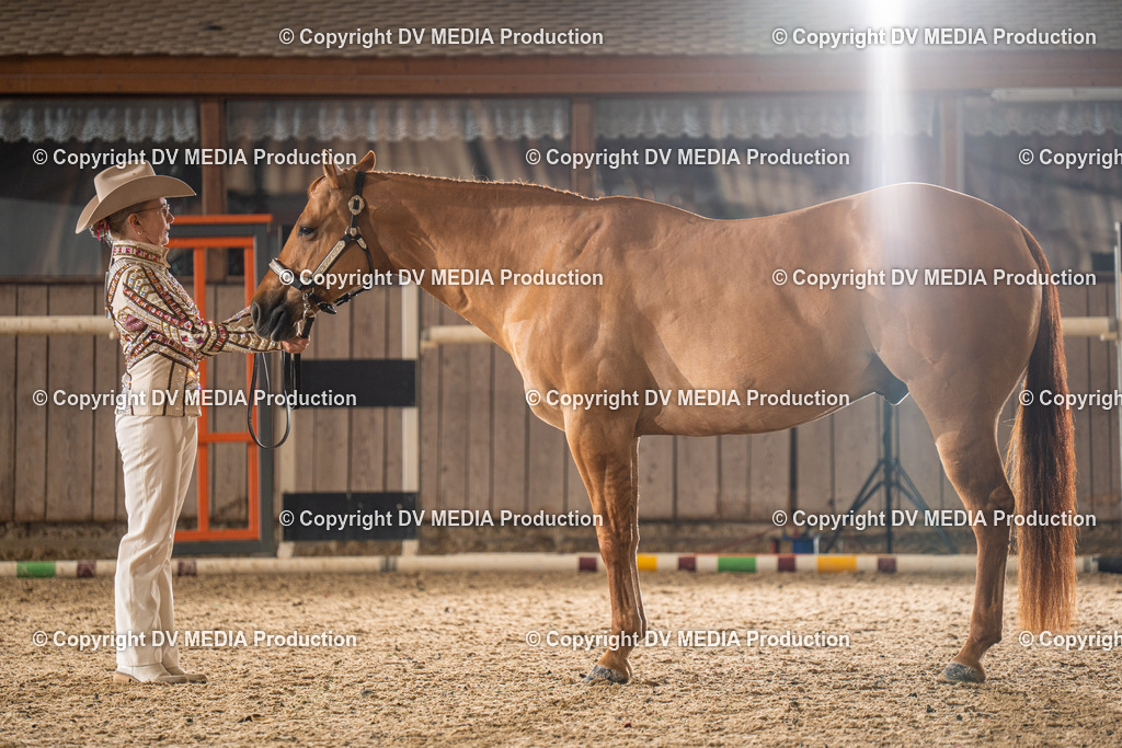 Zeiskam Tag 1-136 | dv-media-shop - Realisiert mit Pictrs.com