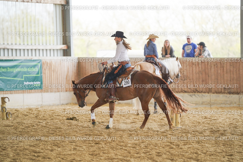 DSC06025 | Pferdegrafie