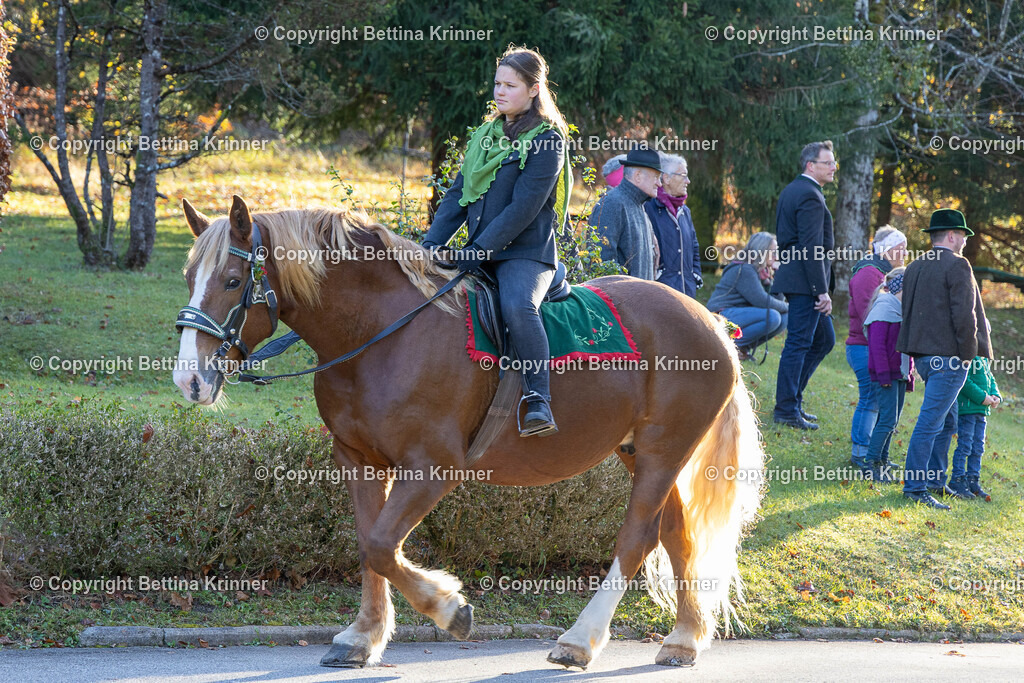 LL24-164 | foto-bettina-krinner - Realisiert mit Pictrs.com