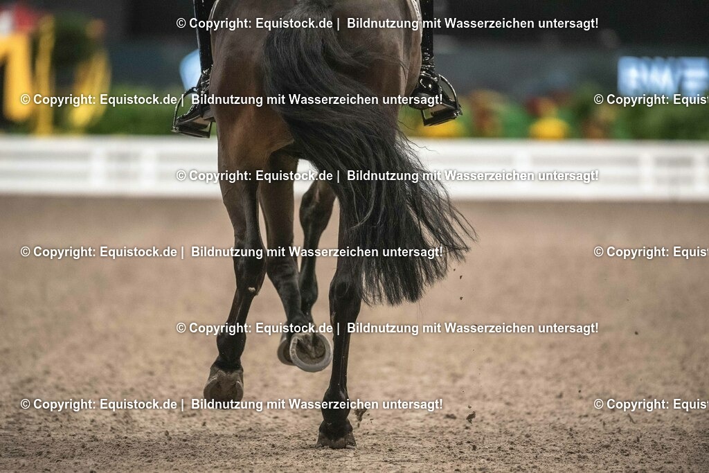 20231115_20_Dressur_Kl-S++_0022_TOMsPiC | Foto: Thomas Hartig