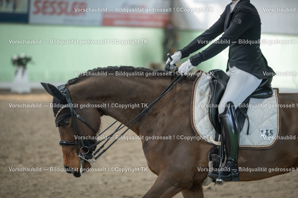 _D5A4351 | Emotionale Pferde- & People-Fotografie rund um Heidelberg, Leimen & Umgebung. Natürliche Fotos von Pferd, Mensch & Familie. Jetzt Termin sichern!