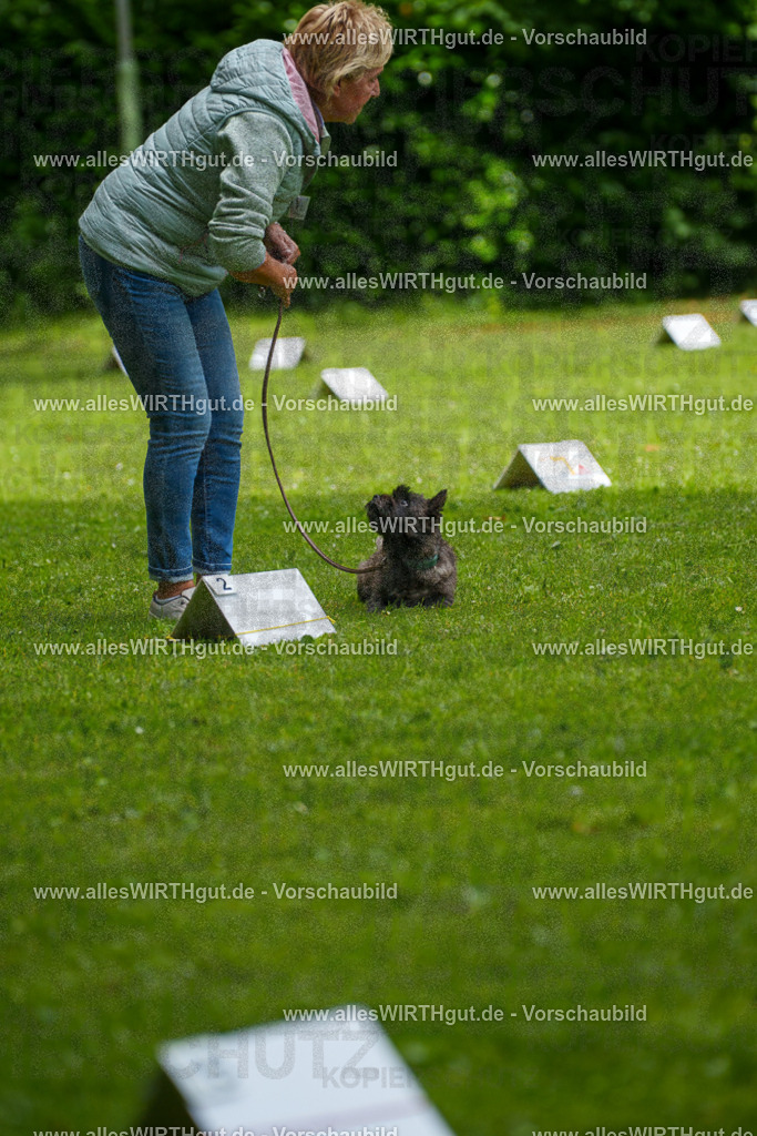 @allesWIRTHgut_Tierfotografie - www.allesWIRTHgut.de - 7R504421 | Professionelle Tierfotografie in Mönchengladbach von Daniel Wirth (allesWIRTHgut). Liebevolle & natürliche Bilder von Hunden & Katzen für unvergessliche Erinnerungen.