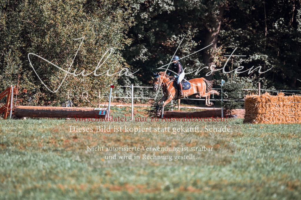 DSC_0795 | Pferde- und Turnierfotografie in Westsachsen. Pferdeportraits, Auftragszeichnungen und intuitive Kunst.