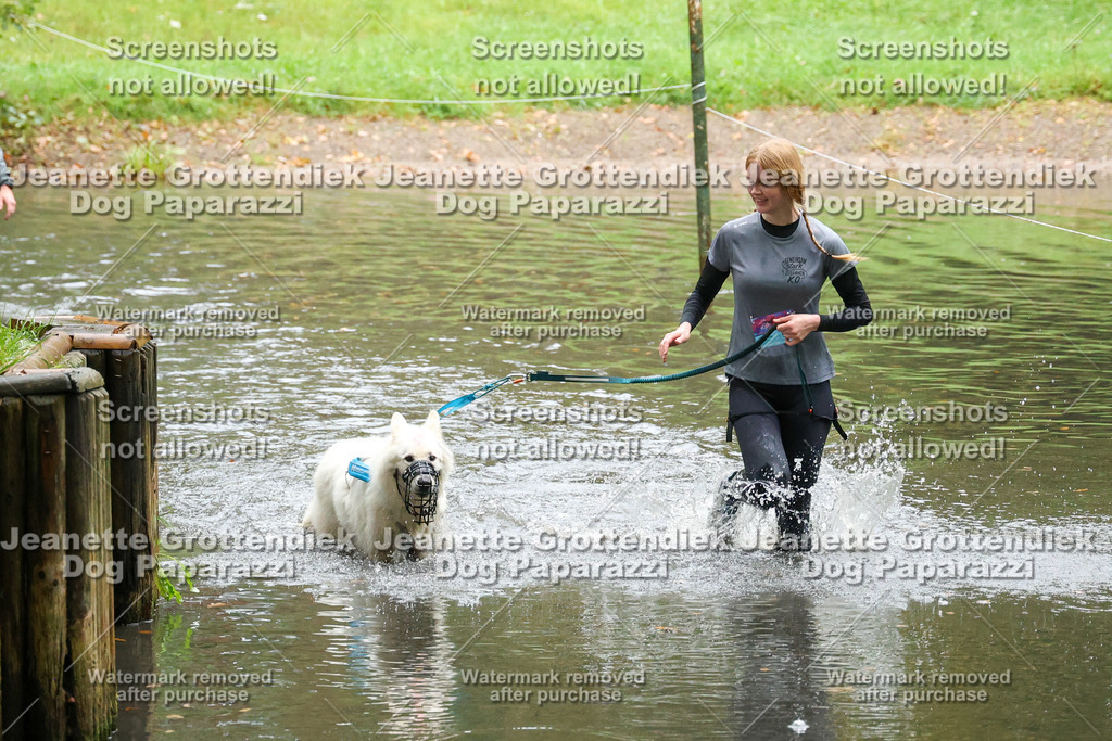 Dog Paparazzi -  SD1026-8185 | Dog Paparazzi Jeanette Grottendiek Fotografie & Videografie - Realisiert mit Pictrs.com