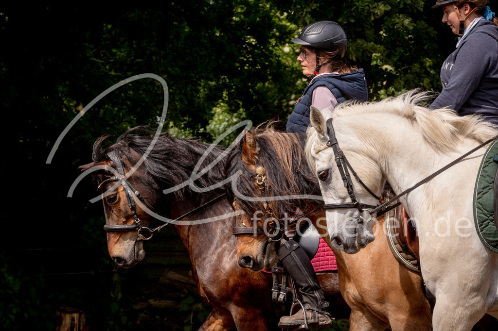 846A1037 | fotosleben - Realisiert mit Pictrs.com