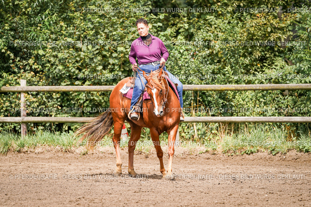 DSC07115 | Pferdegrafie