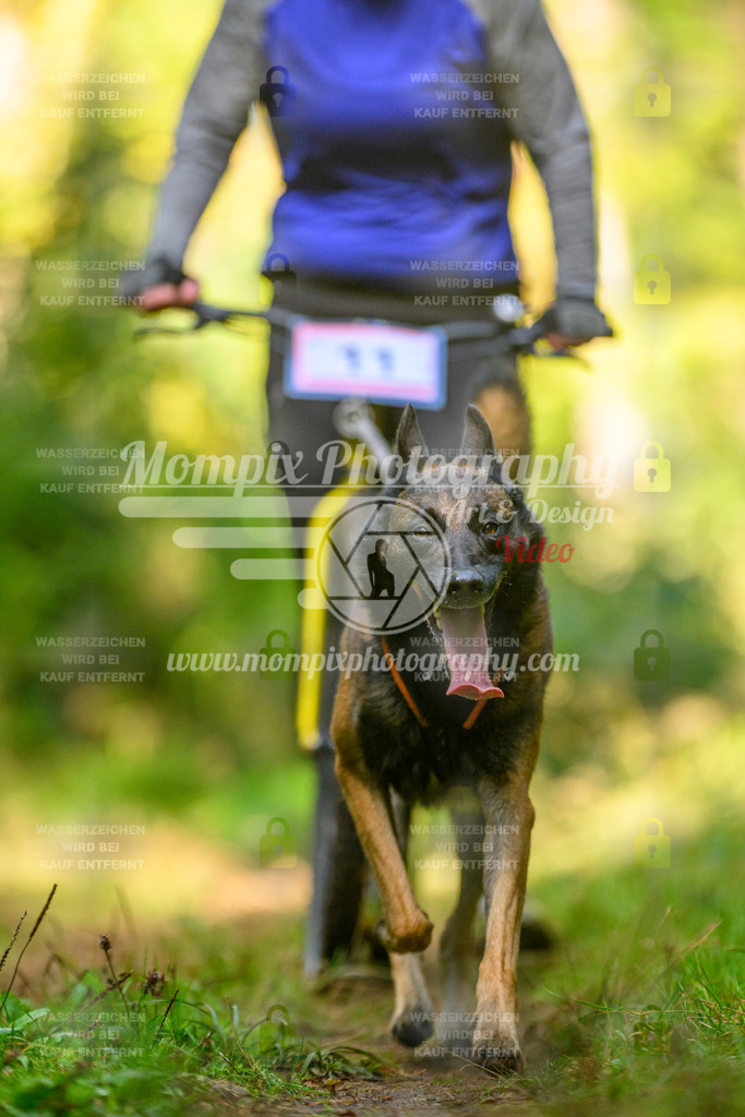 MompixPhotography_Yens2025_B1-36 | PayLife