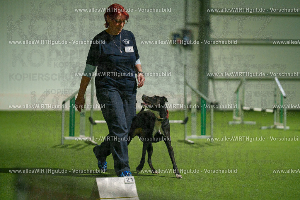 7R507420 | Professionelle Tierfotografie in Mönchengladbach von Daniel Wirth (allesWIRTHgut). Liebevolle & natürliche Bilder von Hunden & Katzen für unvergessliche Erinnerungen.