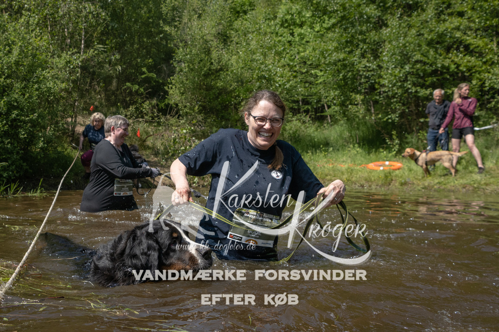 1425DKK990341 | kk-dogfotos