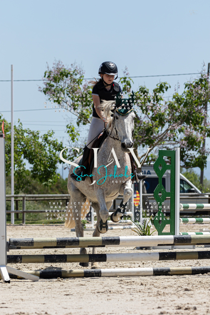 IMG_0343 | s-jay-photography - Realisiert mit Pictrs.com