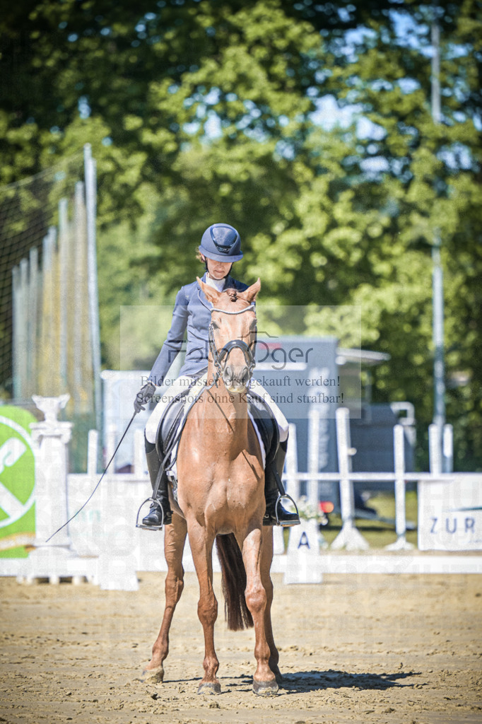 DOS_5689 | Entdecke hochwertige Reitturnierfotos von Foto Oger. Professionell, emotional und authentisch – jetzt Lieblingsmomente im Shop bestellen.Deutschlandweite Turnierfotografie. - Realisiert mit Pictrs.com