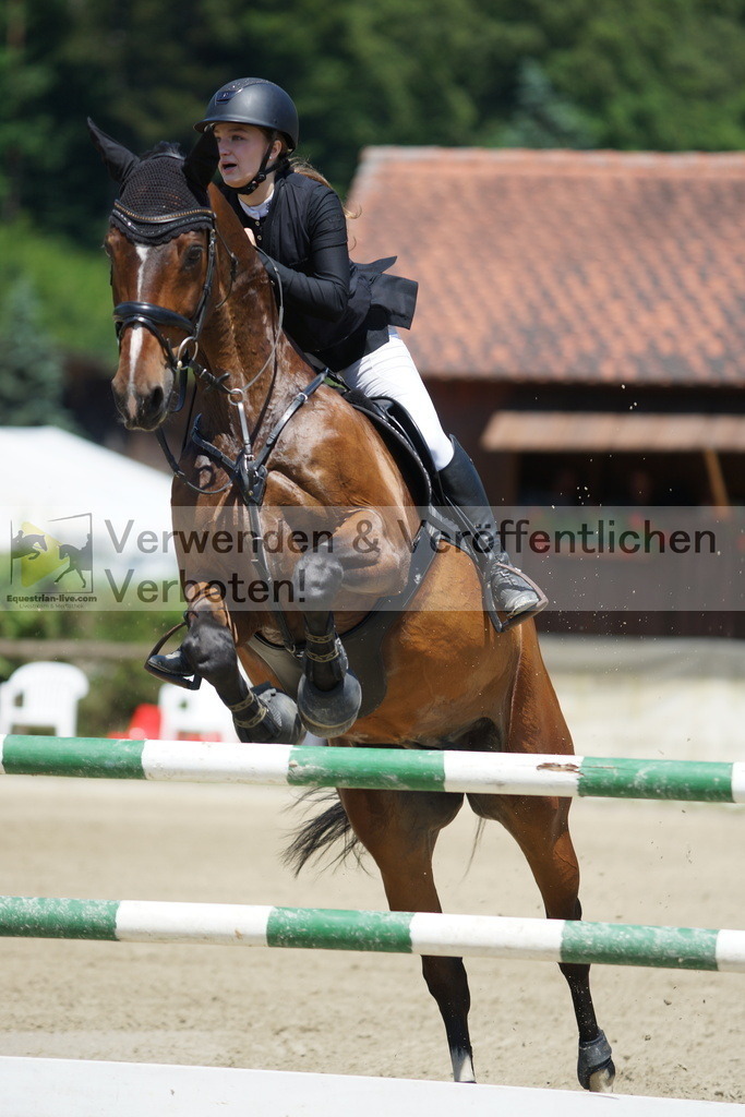 DSC00764 | equestrian-live-com