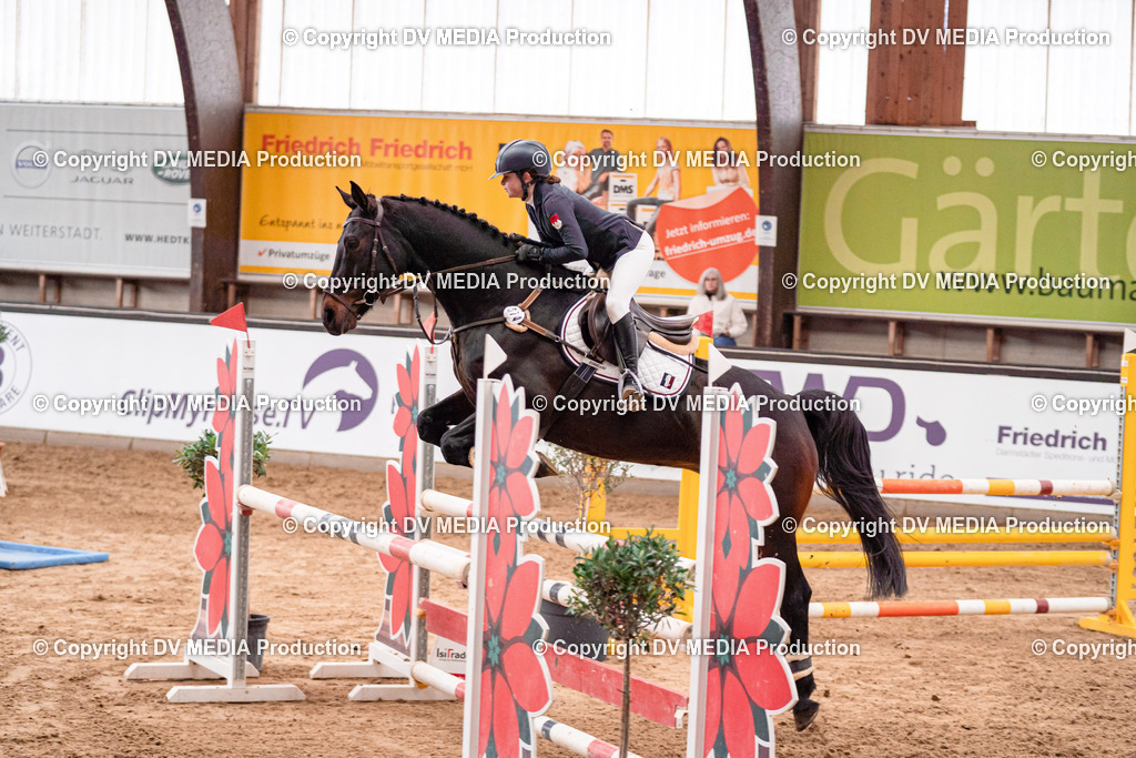 Kranichstein Tag 3-505 | dv-media-shop - Realisiert mit Pictrs.com