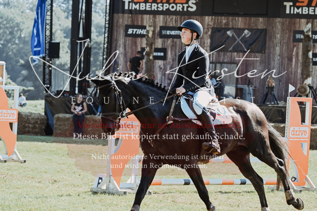 DSC_5734 | Pferde- und Turnierfotografie in Westsachsen. Pferdeportraits, Auftragszeichnungen und intuitive Kunst.