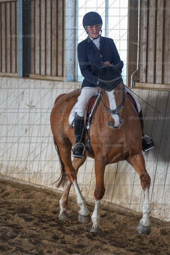 20230917-FAH09924 | Landsberg am Lech, 2023, Kaufbeuren, Kempten, Allgäu, Turnierfotografen Bayern, Fotoagentur Herrmann, Turnierbilder, Reitsport Fotos, Pferdefotograf, Augsburg, Bad Tölz, Dachau, Karlsfeld, Memmingen, Buchloe, Schwabmünchen