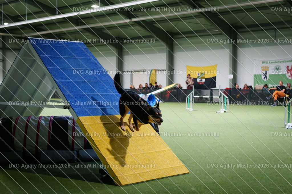 allesWIRTHgut_Tierfotografie-DVG_Agility_Masters_2026-16_35-7R508163 | Professionelle Tierfotografie in Mönchengladbach von Daniel Wirth (allesWIRTHgut). Liebevolle & natürliche Bilder von Hunden & Katzen für unvergessliche Erinnerungen.