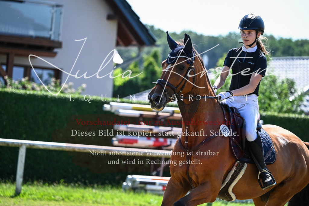 DSC_1462 | Pferde- und Turnierfotografie in Westsachsen. Pferdeportraits, Auftragszeichnungen und intuitive Kunst.
