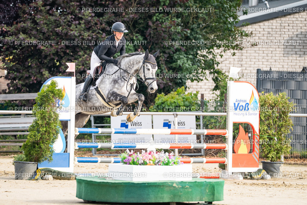 DSC08328 | Pferdegrafie